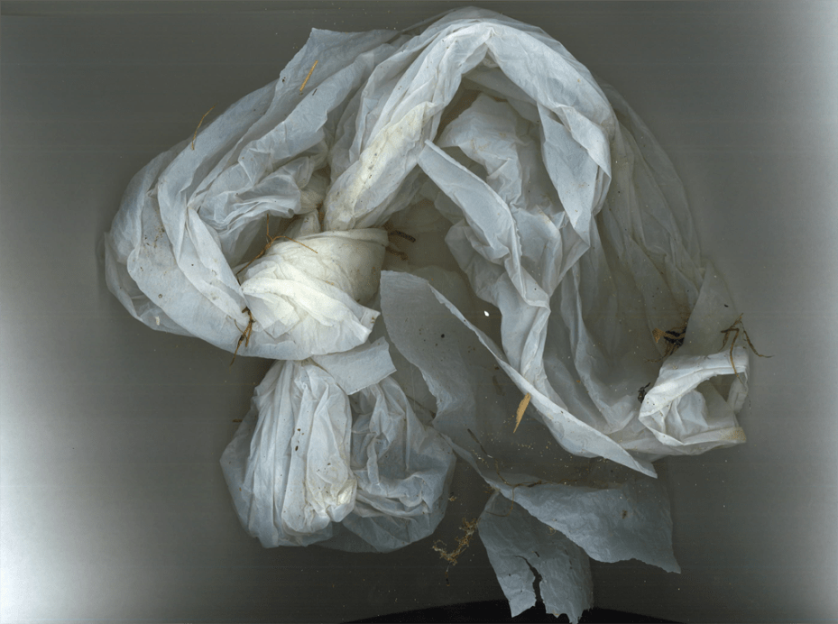 CRYMEARIVER_floating_object_PLASTIC_2_1024