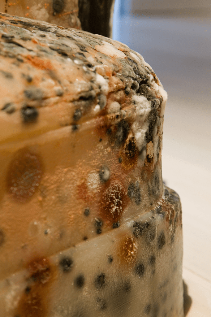 Nialcyr_2_Agar_chair_detail_1024